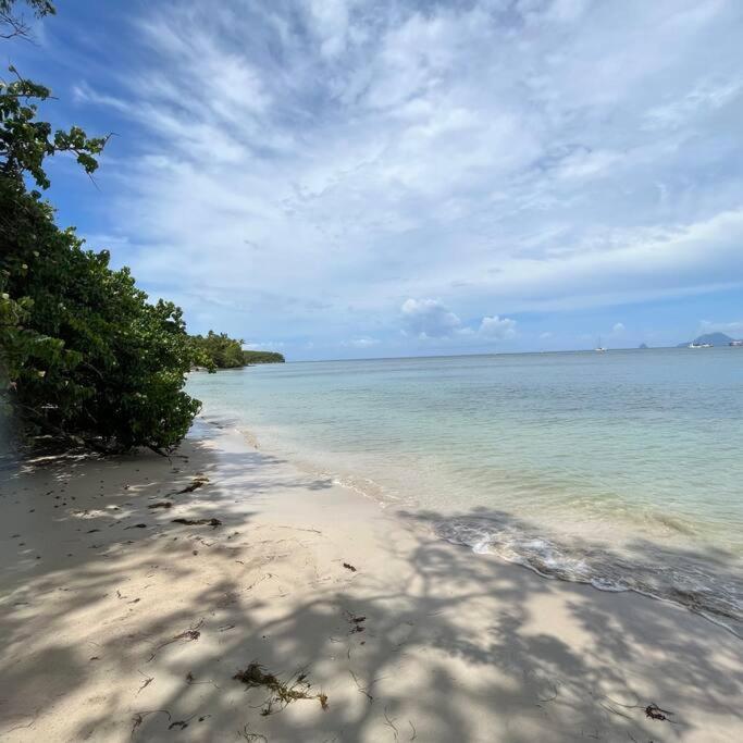Studio La «Kaz' A Coco» Anse Caritan Sainte-Anne Eksteriør billede