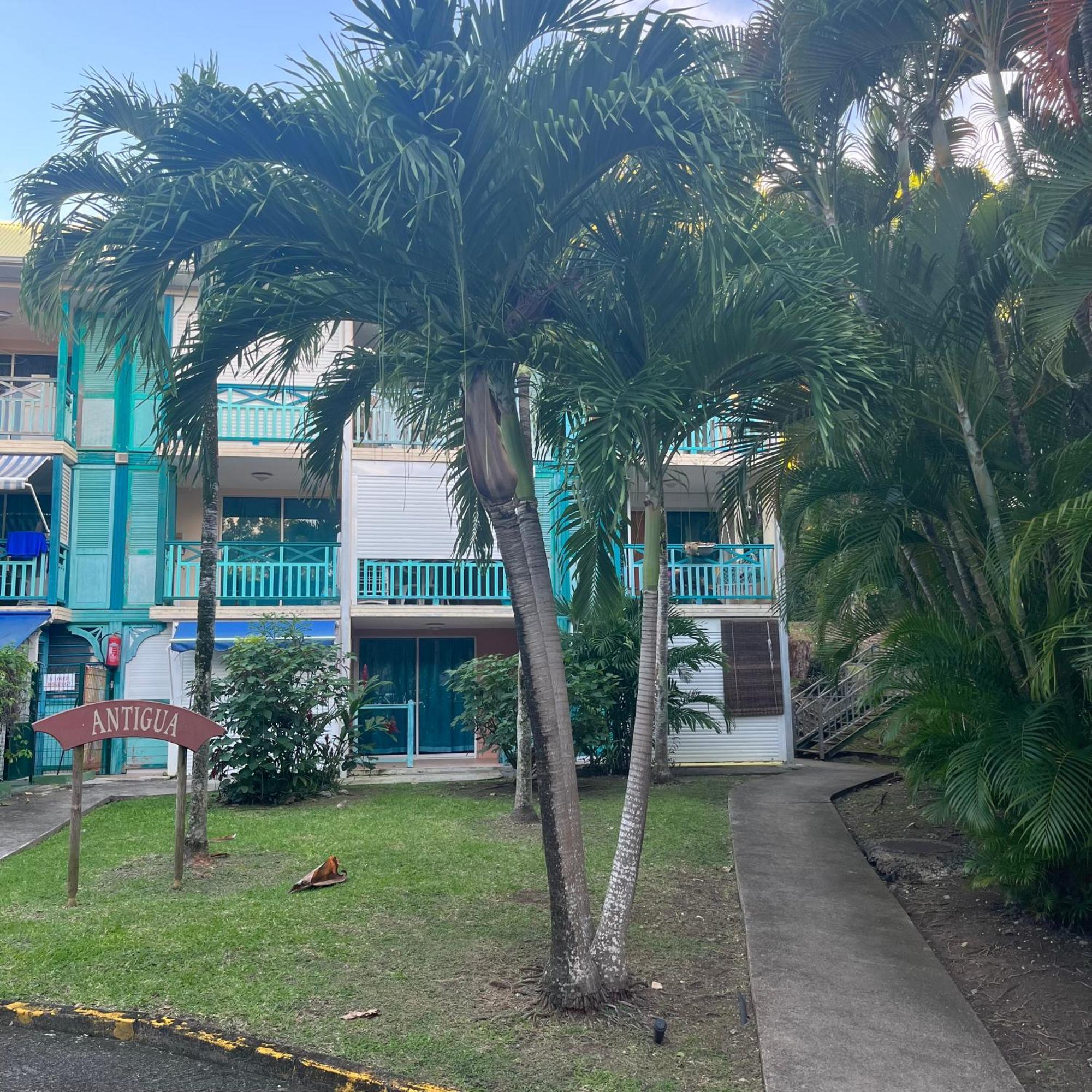 Studio La «Kaz' A Coco» Anse Caritan Sainte-Anne Eksteriør billede